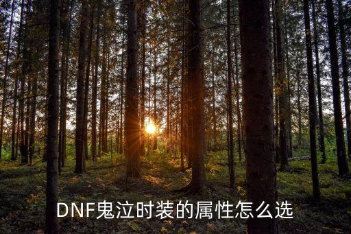 dnf鬼泣时装选什么属性，DNF鬼泣时装的属性怎么选