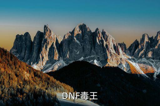 DNF毒王