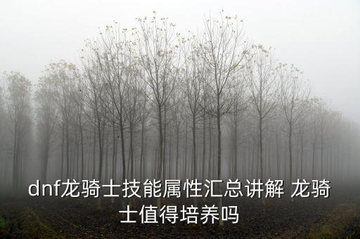 dnf龙骑士做什么属性，dnf中龙骑士装扮属性怎么选