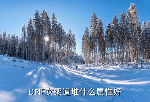 DNF女柔道堆什么属性好