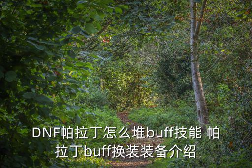 DNF帕拉丁怎么堆buff技能 帕拉丁buff换装装备介绍