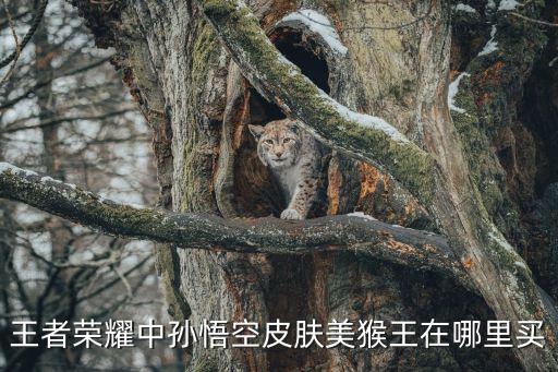 王者荣耀猴子新皮肤在哪里换，王者荣耀中孙悟空皮肤美猴王在哪里买