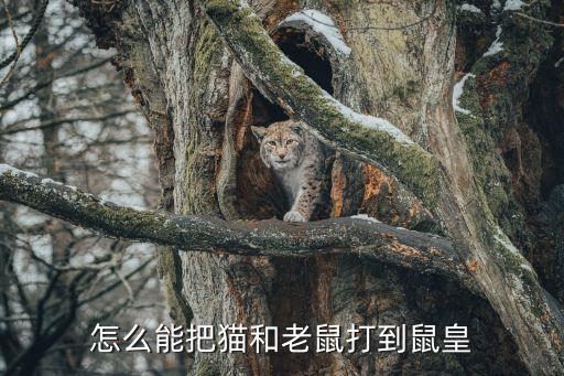 怎么能把猫和老鼠打到鼠皇