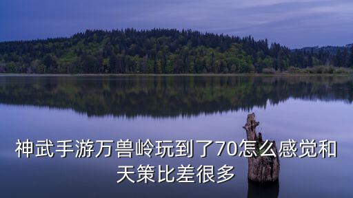 神武手游万兽岭玩到了70怎么感觉和天策比差很多