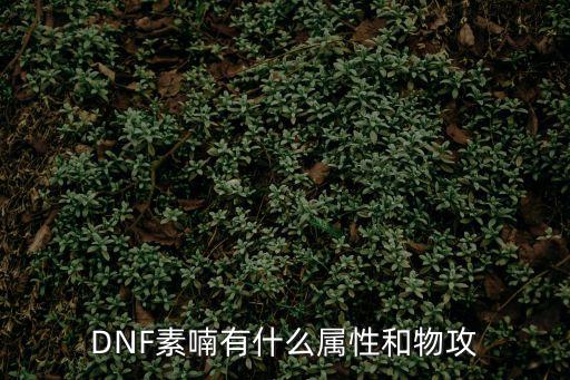 DNF素喃有什么属性和物攻