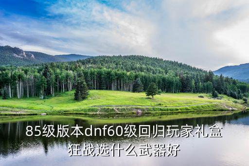 dnf回归套盒选什么属性，DNF 10月1 礼盒套装各个部件 都可以选什么属性具体