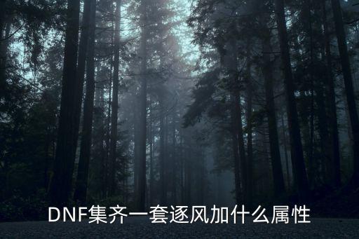 DNF集齐一套逐风加什么属性