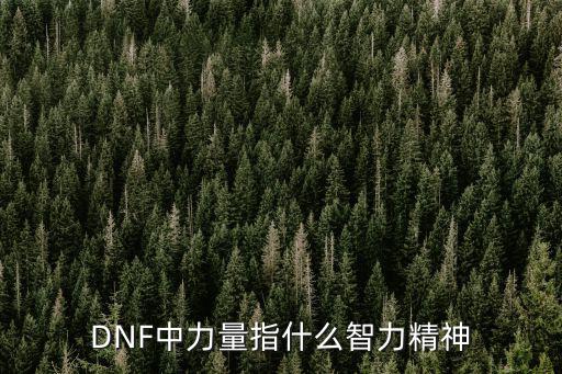 DNF中力量指什么智力精神