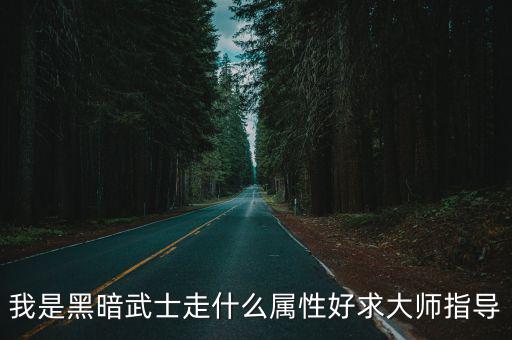 我是黑暗武士走什么属性好求大师指导