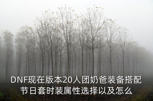 DNF现在版本20人团奶爸装备搭配节日套时装属性选择以及怎么