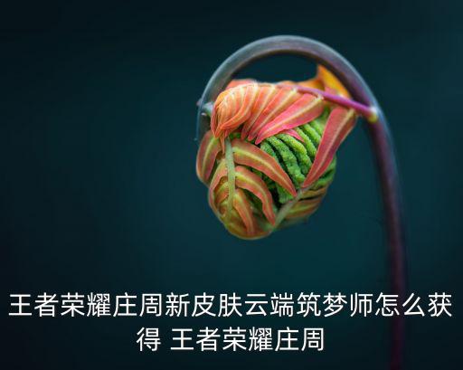 王者荣耀庄周新皮肤云端筑梦师怎么获得 王者荣耀庄周