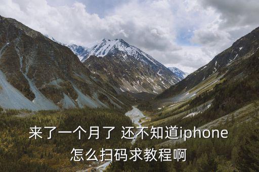 来了一个月了 还不知道iphone怎么扫码求教程啊