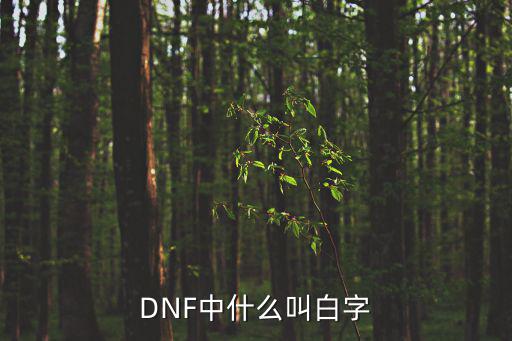 DNF中什么叫白字