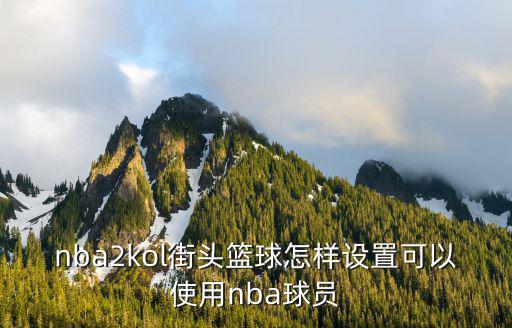 nba2kol街头篮球怎样设置可以使用nba球员