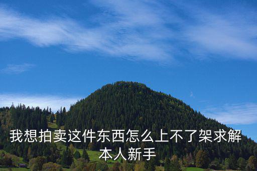 韩服手游怎么上架拍卖商品，我想拍卖这件东西怎么上不了架求解 本人新手