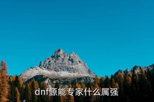 dnf源能专家什么属强