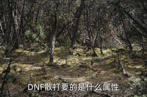 dnf散打用什么属性攻击，DNF散打要的是什么属性