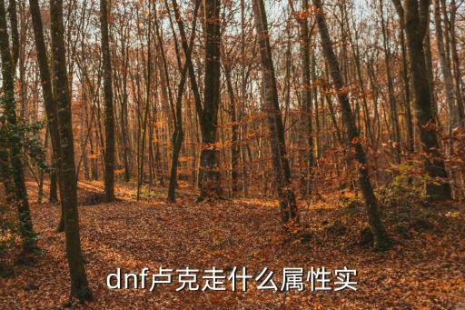 dnf卢克走什么属性实