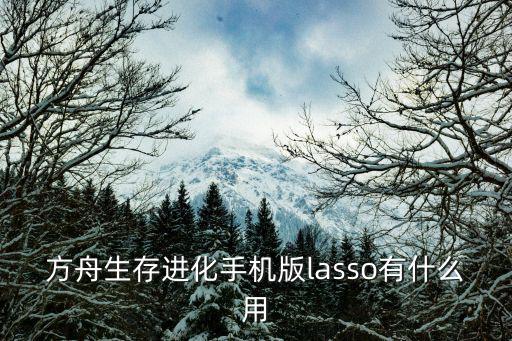 方舟生存进化手机版lasso有什么用