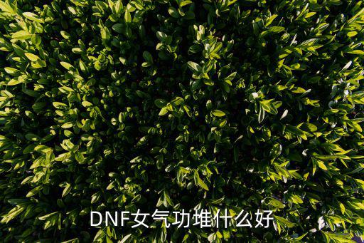 DNF女气功堆什么好