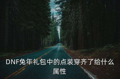 DNF兔年礼包中的点装穿齐了给什么属性