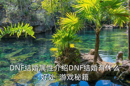 DNF结婚属性介绍DNF结婚有什么好处  游戏秘籍