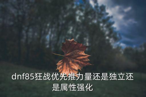 dnf85狂战优先推力量还是独立还是属性强化