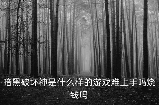 暗黑破坏神4 手游怎么样，暗黑破坏神是什么样的游戏难上手吗烧钱吗