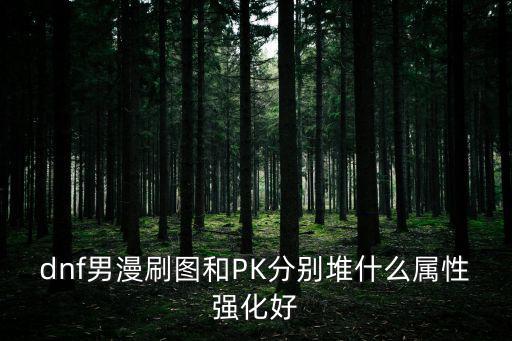 dnf男漫刷图和PK分别堆什么属性强化好