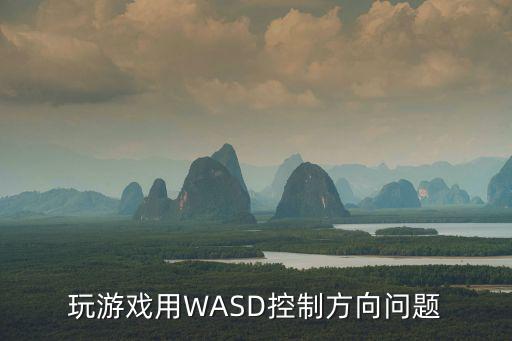 玩游戏用WASD控制方向问题