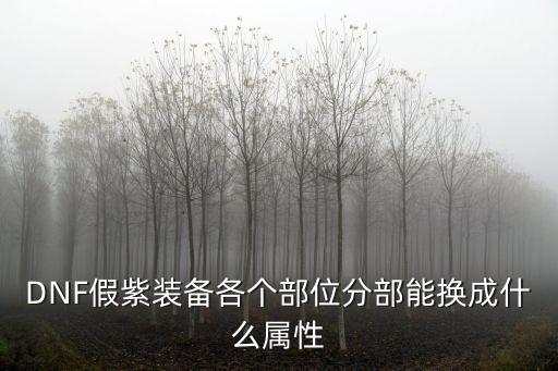 DNF假紫装备各个部位分部能换成什么属性