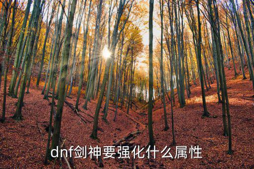 dnf剑神要强化什么属性