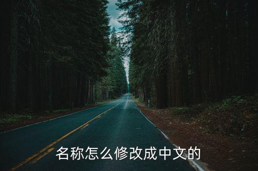 名称怎么修改成中文的