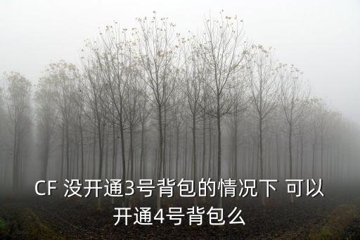 CF 没开通3号背包的情况下 可以开通4号背包么