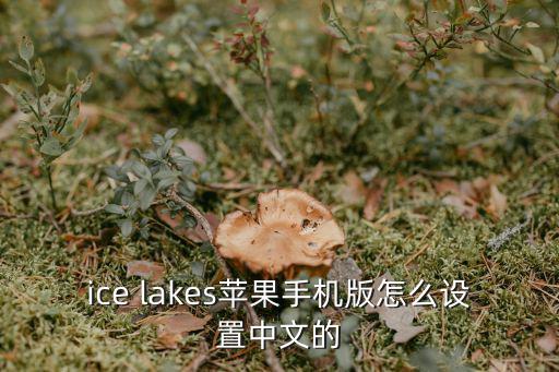 ice lakes苹果手机版怎么设置中文的