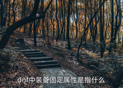 dnf中装备固定属性是指什么