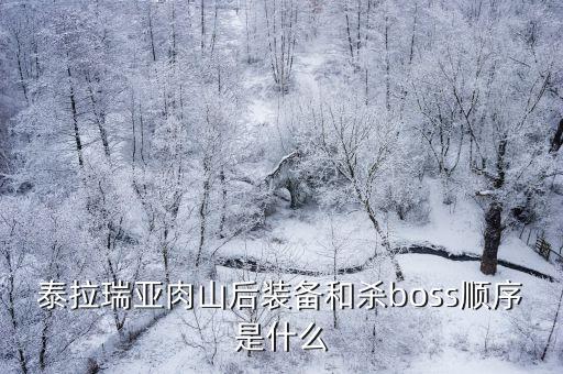 泰拉瑞亚肉山后装备和杀boss顺序是什么