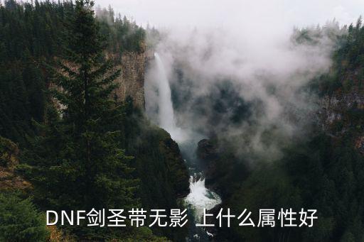 DNF剑圣带无影 上什么属性好