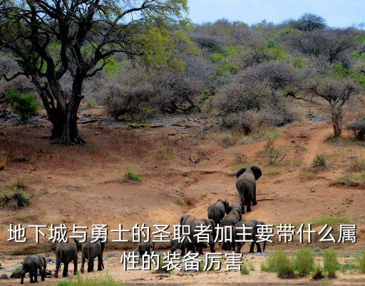 地下城与勇士的圣职者加主要带什么属性的装备厉害