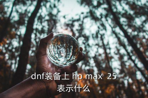 dnf装备上 hp max  25表示什么