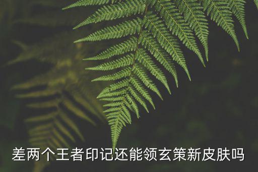 差两个王者印记还能领玄策新皮肤吗