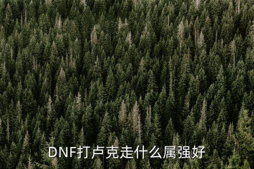 DNF打卢克走什么属强好