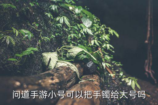 问道手游小号可以把手镯给大号吗