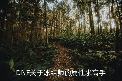 dnf冰结师增幅什么属性，DNF关于冰结师的属性求高手