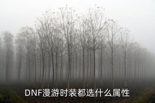 DNF漫游时装都选什么属性