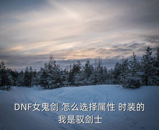 DNF女鬼剑 怎么选择属性 时装的 我是驭剑士