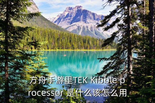 方舟手游里TEK Kibble processor 是什么该怎么用