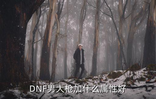 DNF男大枪加什么属性好