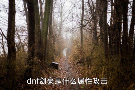 dnf剑豪是玩什么属性，dnf剑豪是什么属性攻击