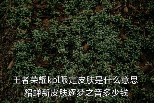 王者荣耀kpl限定皮肤是什么意思 貂蝉新皮肤逐梦之音多少钱